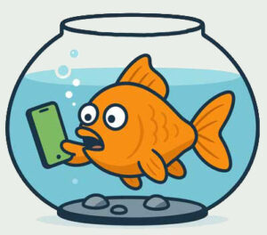 55-Goldfish-Mobile_beige